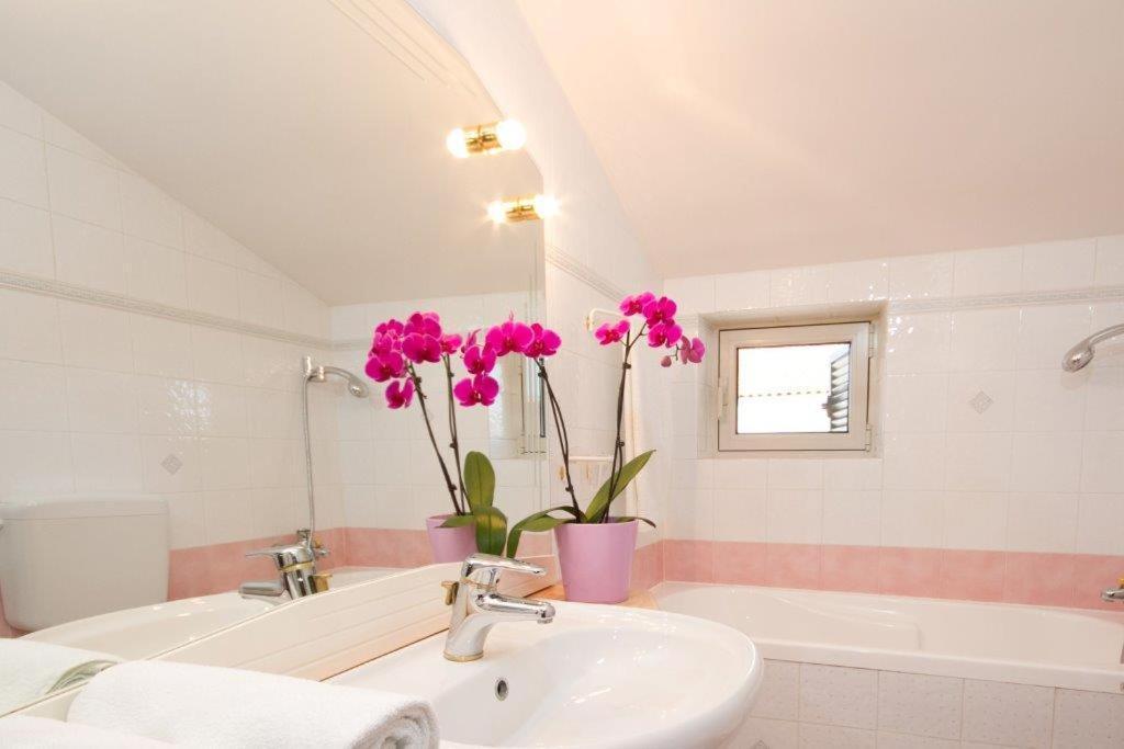 Villa Sveta Eufemija Bed end Breakfast I Rovigno Esterno foto